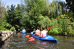 Paddeln im Spreewald